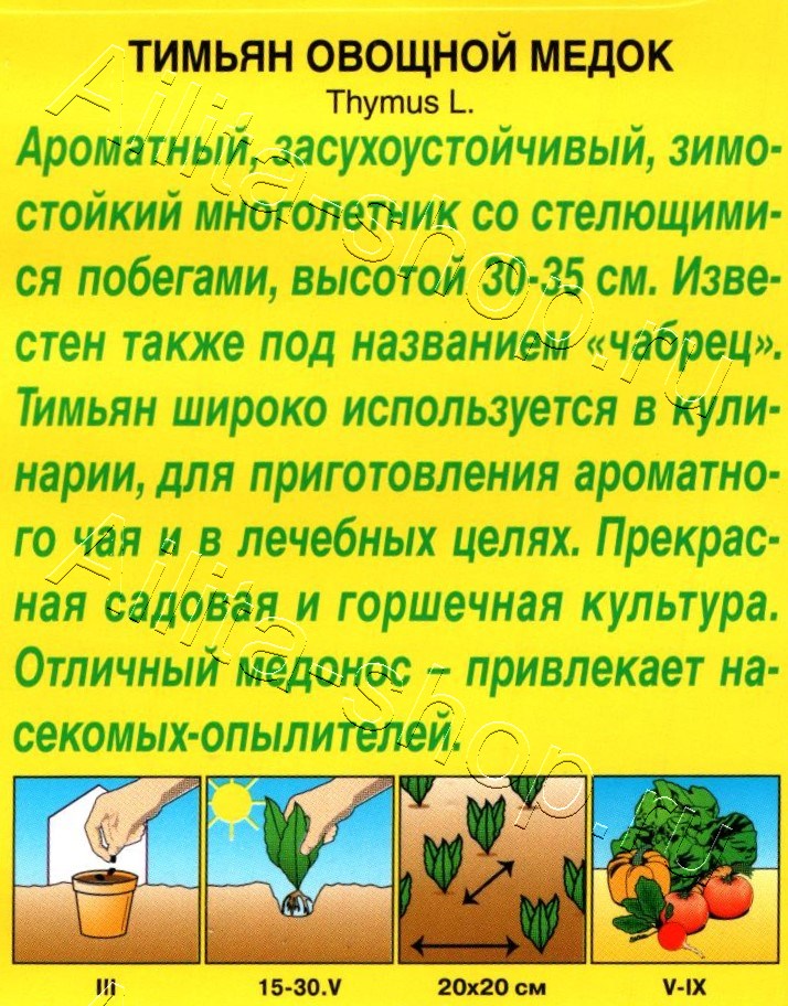 Тимьян овощной Медок 0,2г