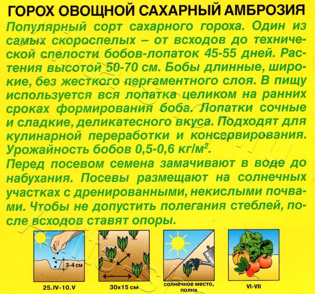 Горох овощной Амброзия 25г