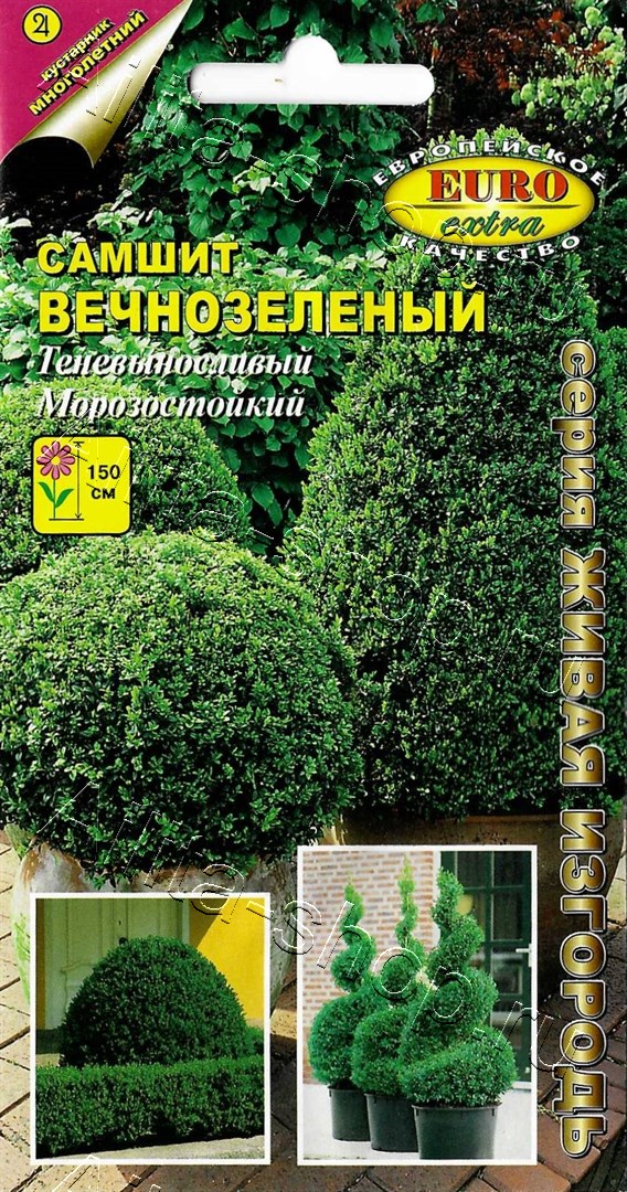 Самшит вечнозеленый 0,1г