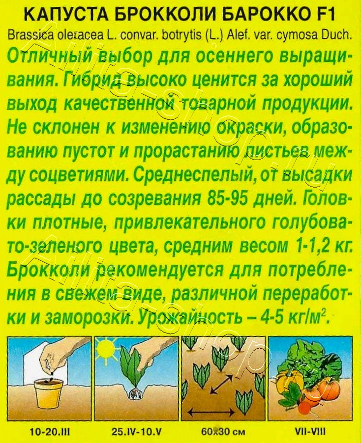 Капуста брокколи Барокко F1 20шт
