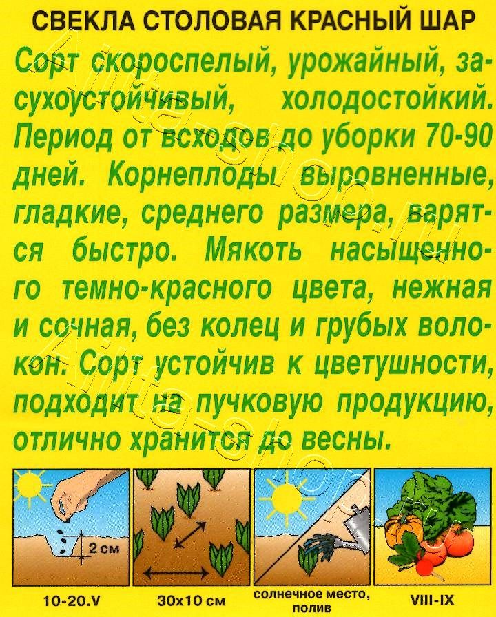 Свекла столовая Красный шар 3г