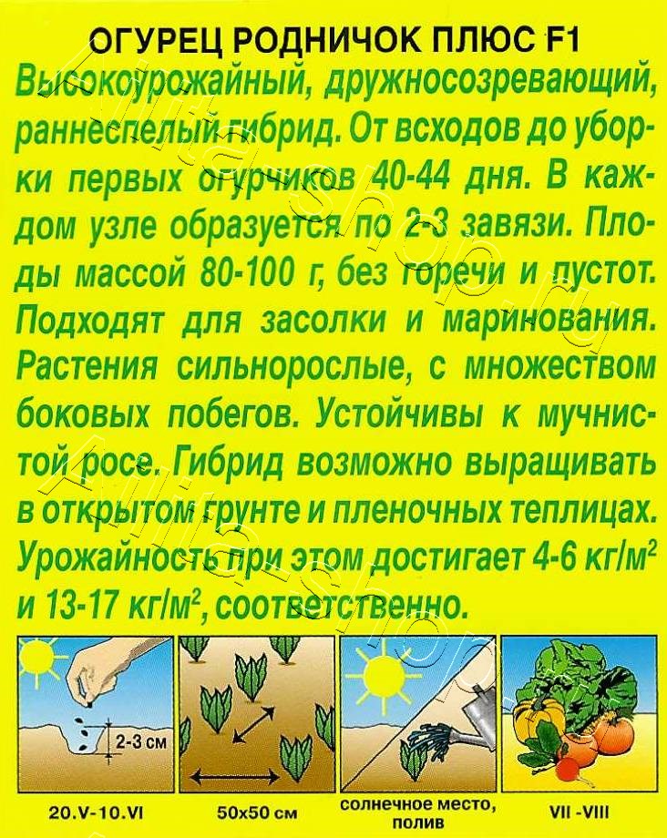 Огурец Родничок плюс F1 10шт