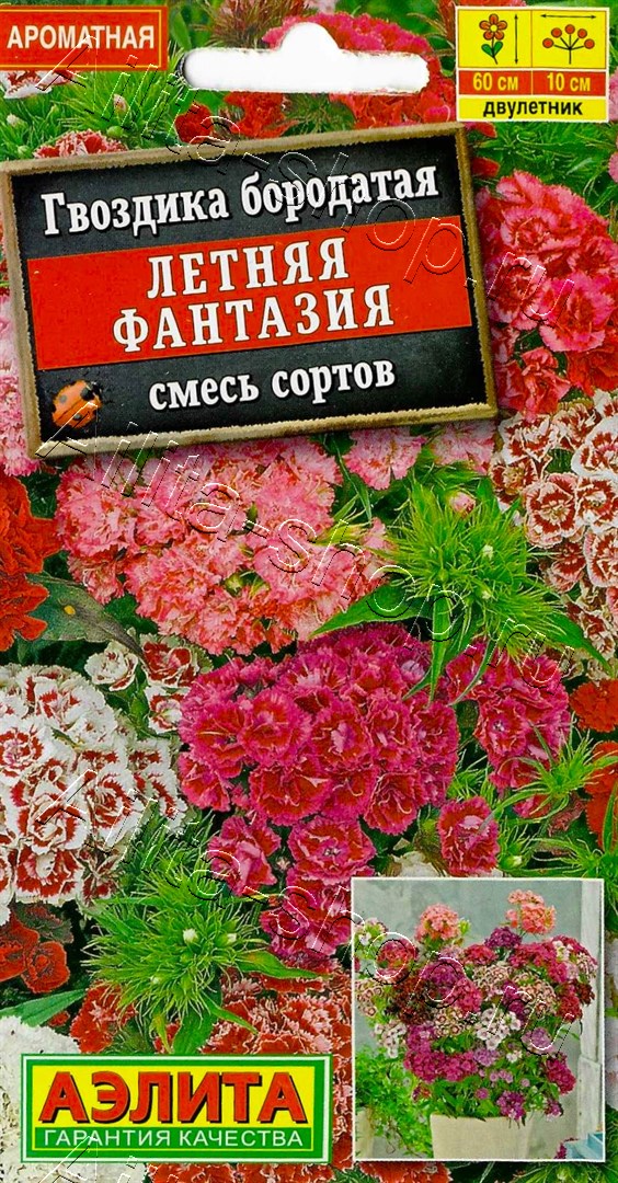 Гвоздика Летняя фантазия, смесь сортов 0,1г