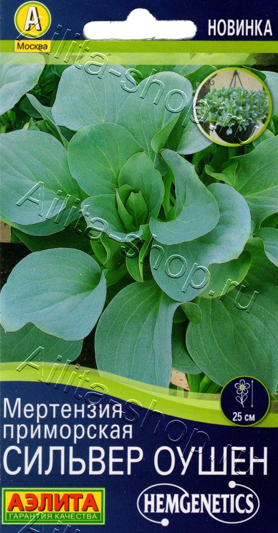 Мертензия приморская Сильвер Оушен 5шт