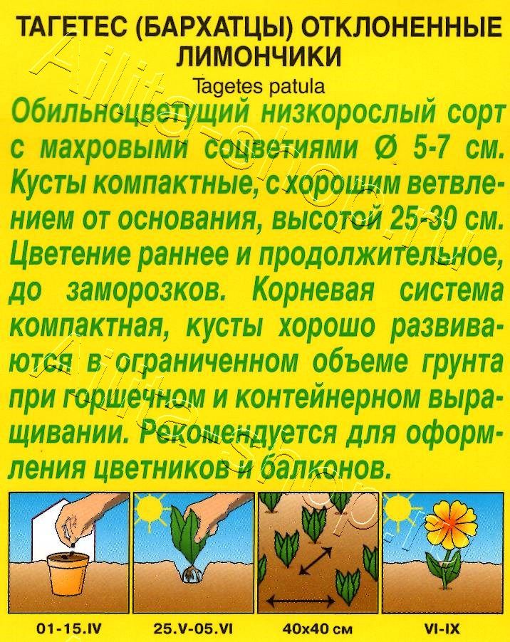 Бархатцы Лимончики отклоненные 0,3г