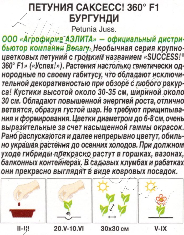 Петуния САКСЕСС! 360° F1 Бургунди 7шт