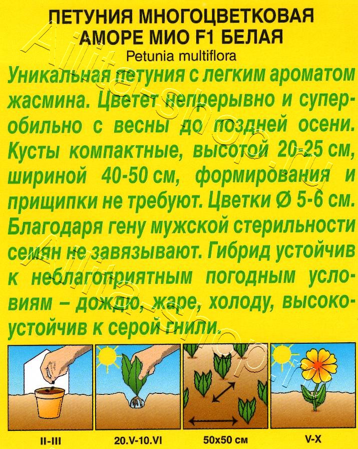Петуния Аморе Мио белая F1 5шт