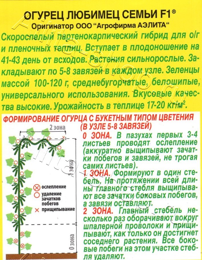 Огурец Любимец семьи F1 10шт