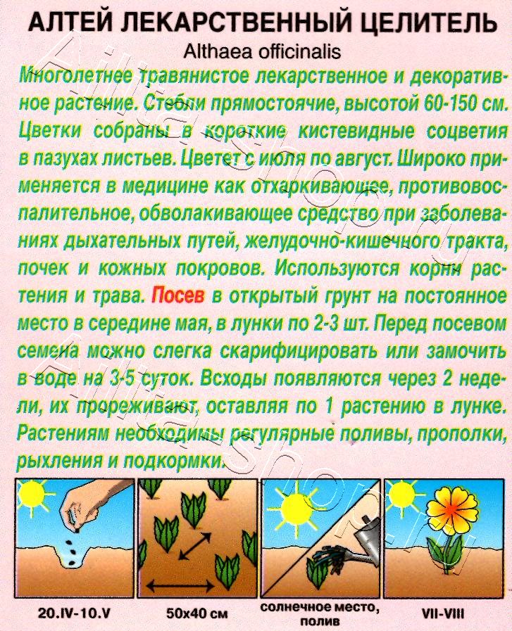 Алтей лекарственный Целитель 0,1г