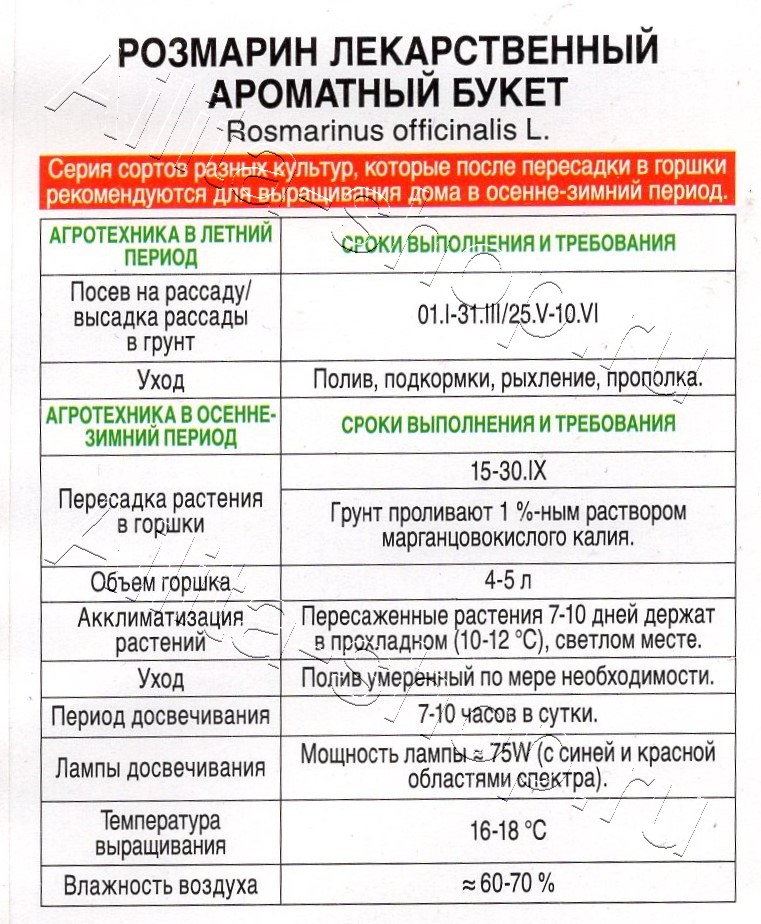 Розмарин Ароматный букет 15шт