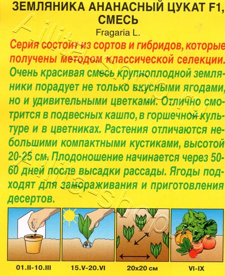 Земляника Ананасный цукат F1, смесь 5шт