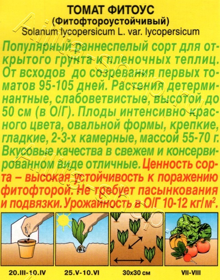 Томат Фитоус 20шт