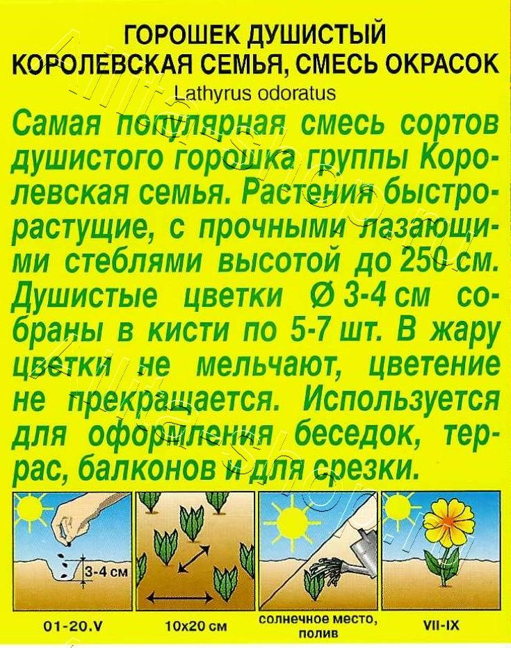 Душистый горошек Королевская семья,смесь окрасок 0,5г