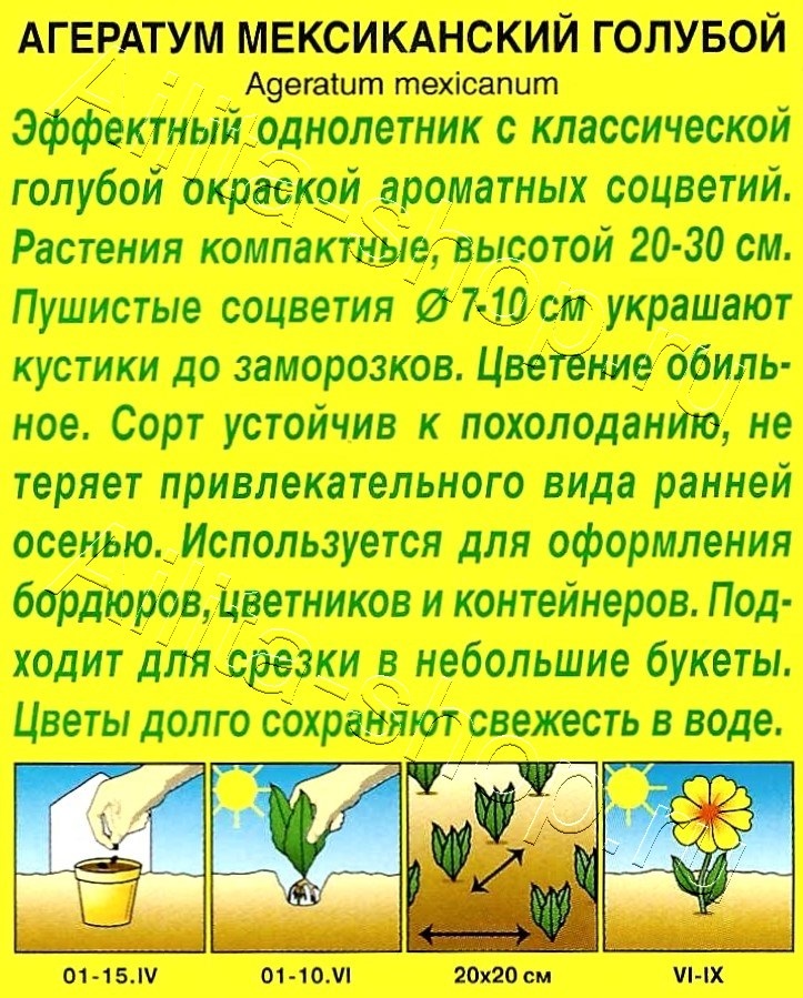 Агератум Мексиканский голубой 0,05г