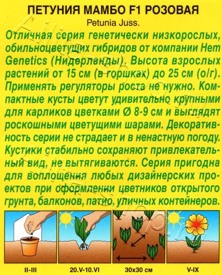 Петуния Мамбо F1 розовая многоцветковая 7шт