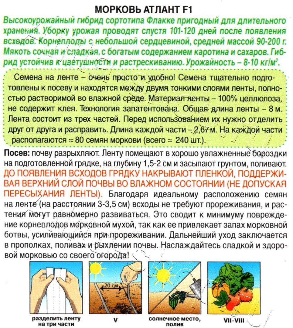 Морковь Атлант F1 8м