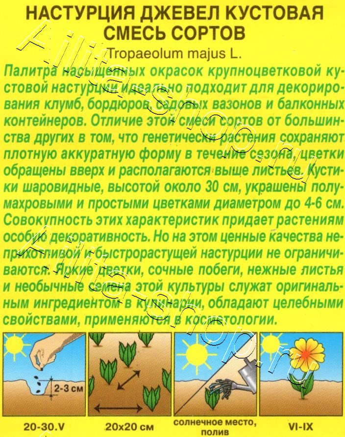 Настурция Джевел кустовая, смесь сортов 1г