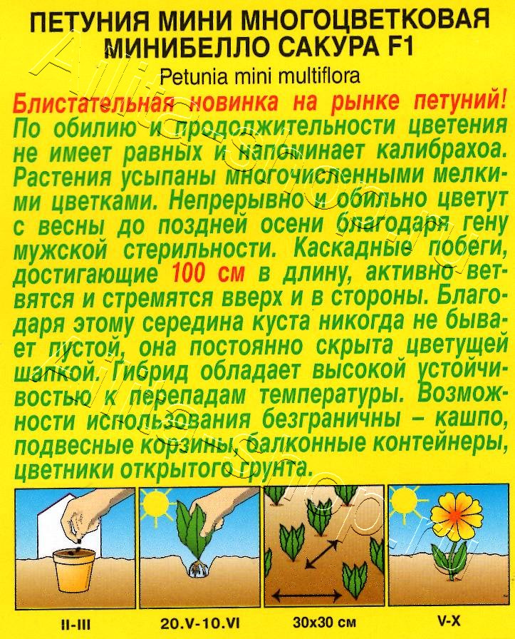 Петуния мини Минибелло F1 сакура многоцветковая 5шт