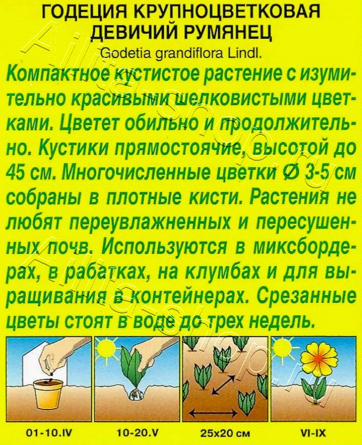 Годеция Девичий румянец крупноцветковая 0,05г
