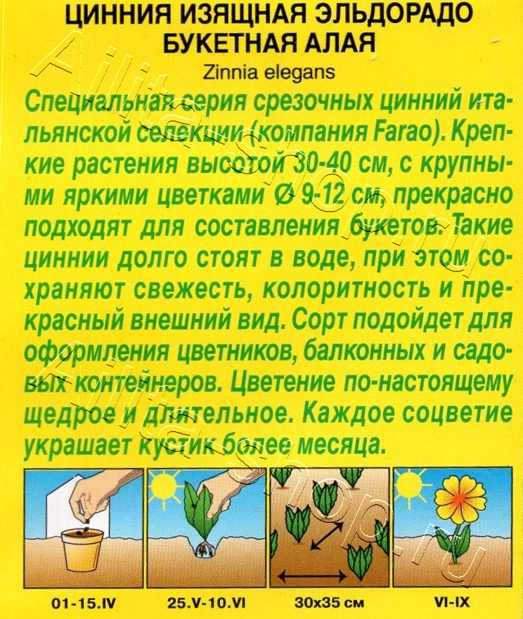 Цинния Эльдорадо букетная алая 12шт