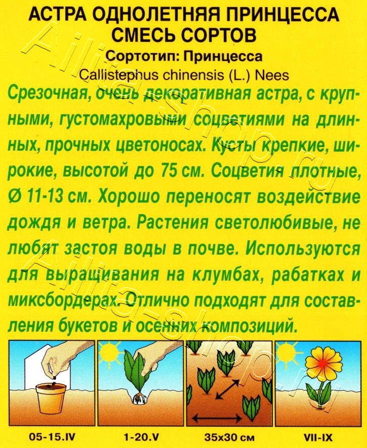 Астра Принцесса, смесь окрасок 0,2г