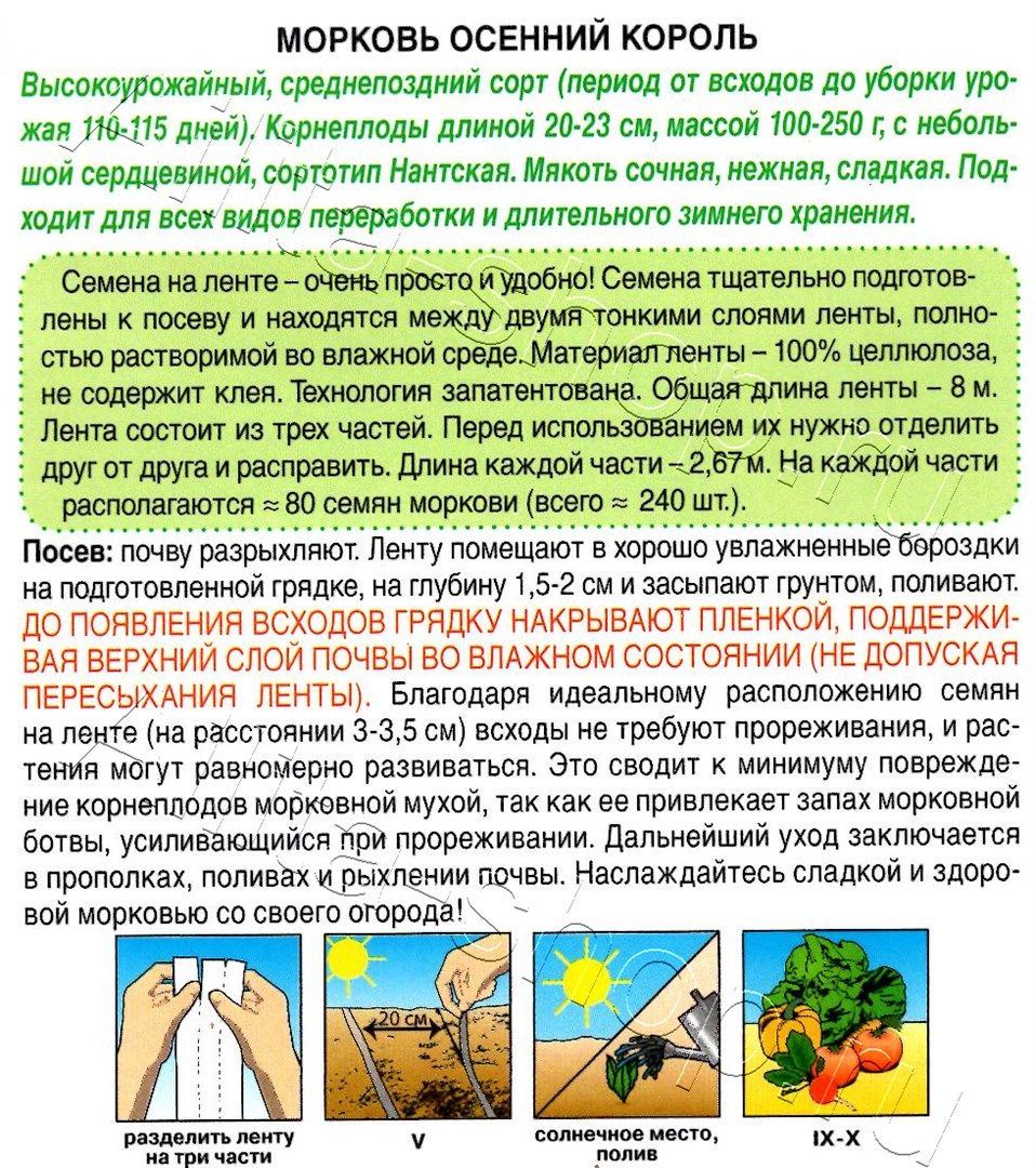 Морковь Осенний король на ленте 8м