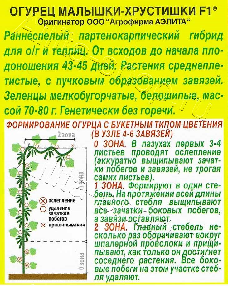 Огурец Малышки-Хрустишки F1 10шт