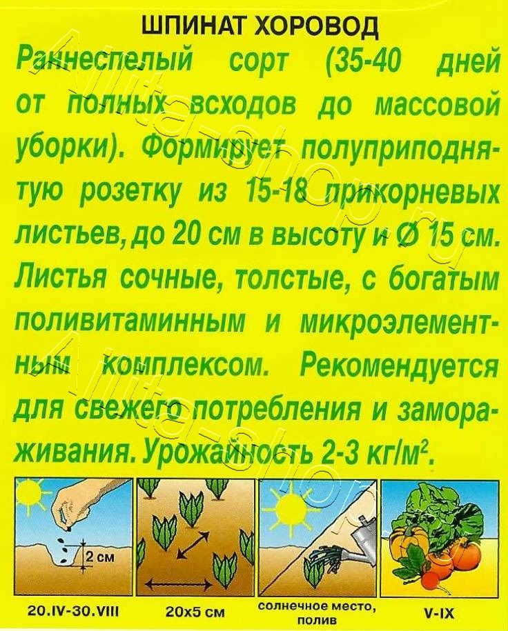 Шпинат Хоровод 3г