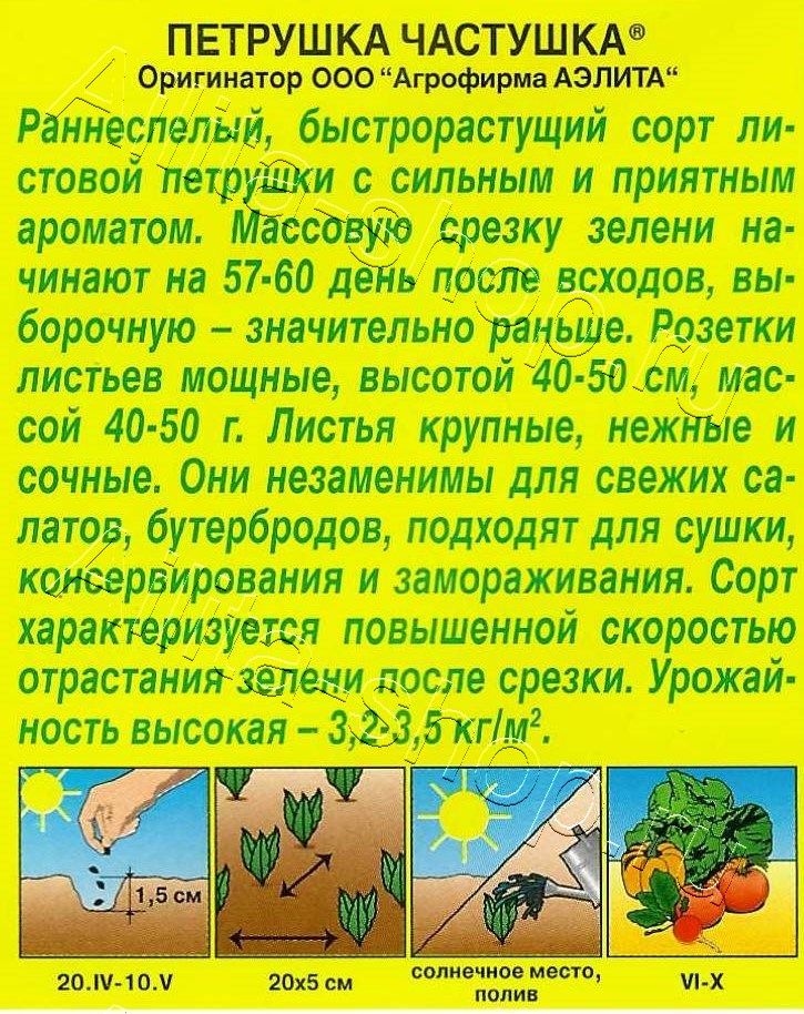 Петрушка листовая Частушка 2г