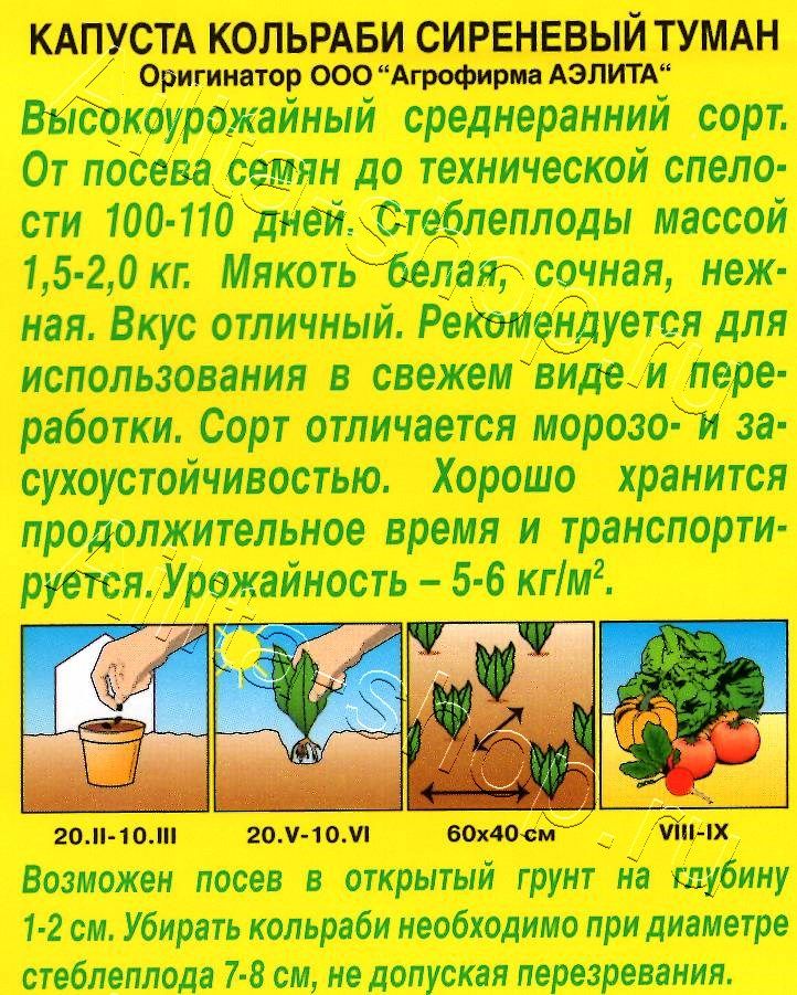 Капуста кольраби Сиреневый туман 0,5г