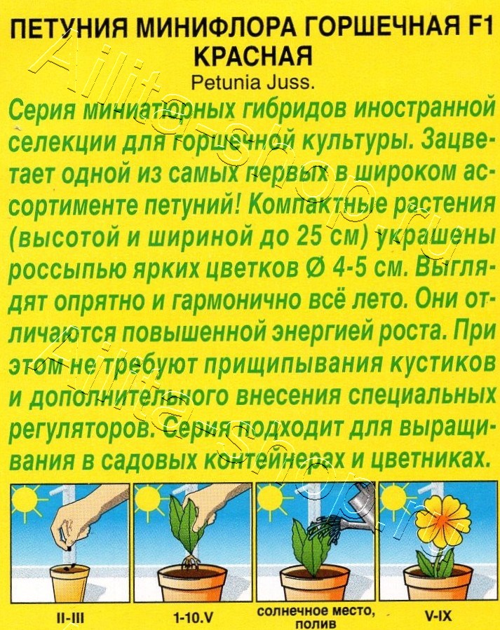 Петуния Минифлора горшечная F1 красная 5шт