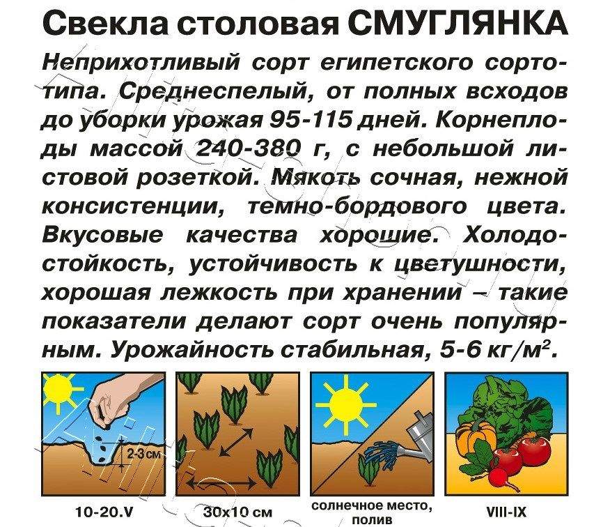 Свекла столовая Смуглянка 3г