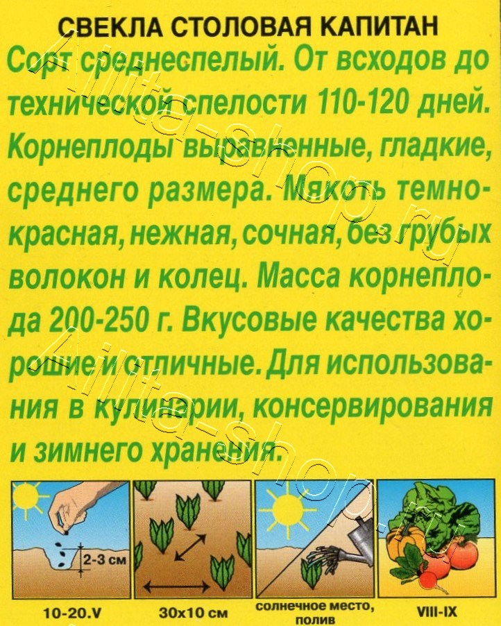 Свекла столовая Капитан 2г