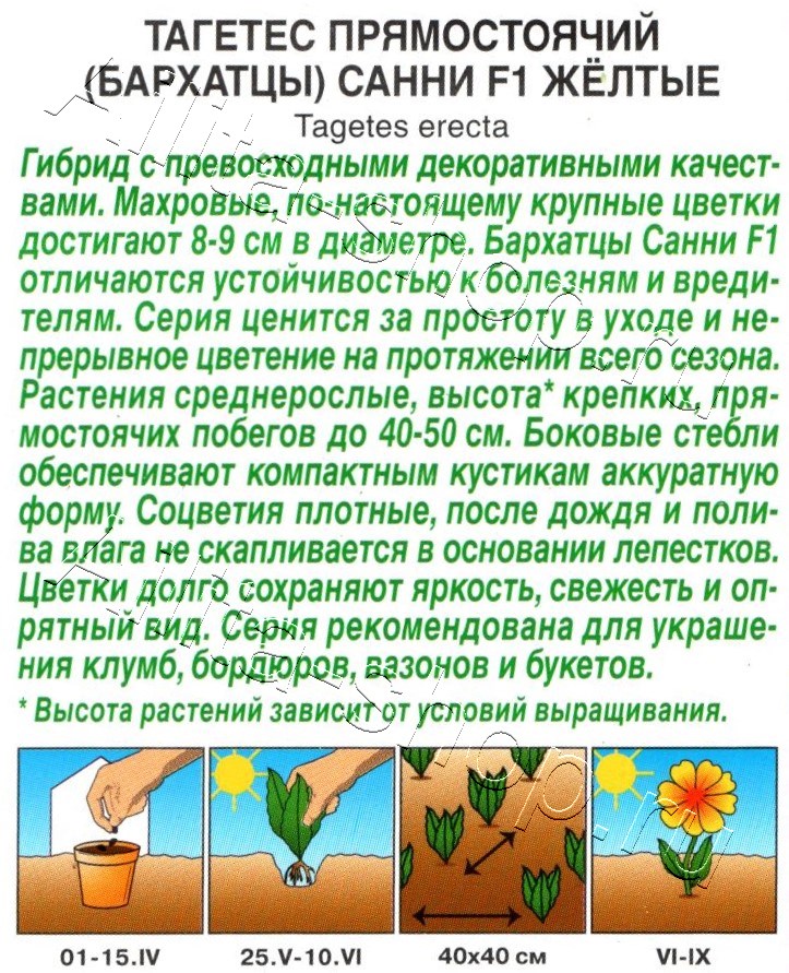 Бархатцы Санни F1 желтые прямостоячие 10шт