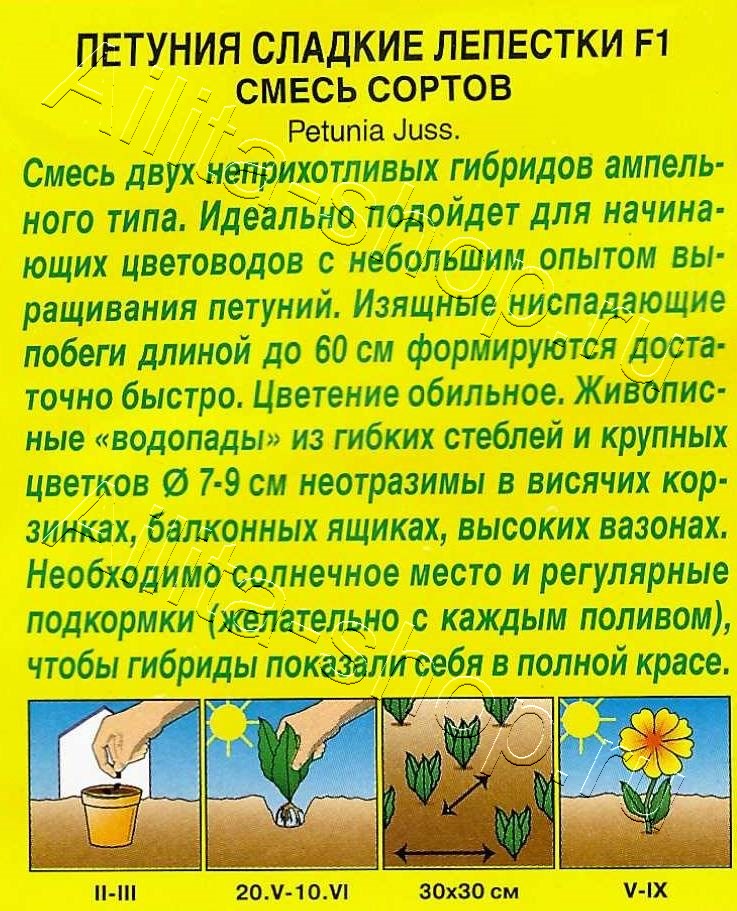 Петуния Сладкие лепестки F1 крупноцветковая ампельная, смесь сортов 7шт