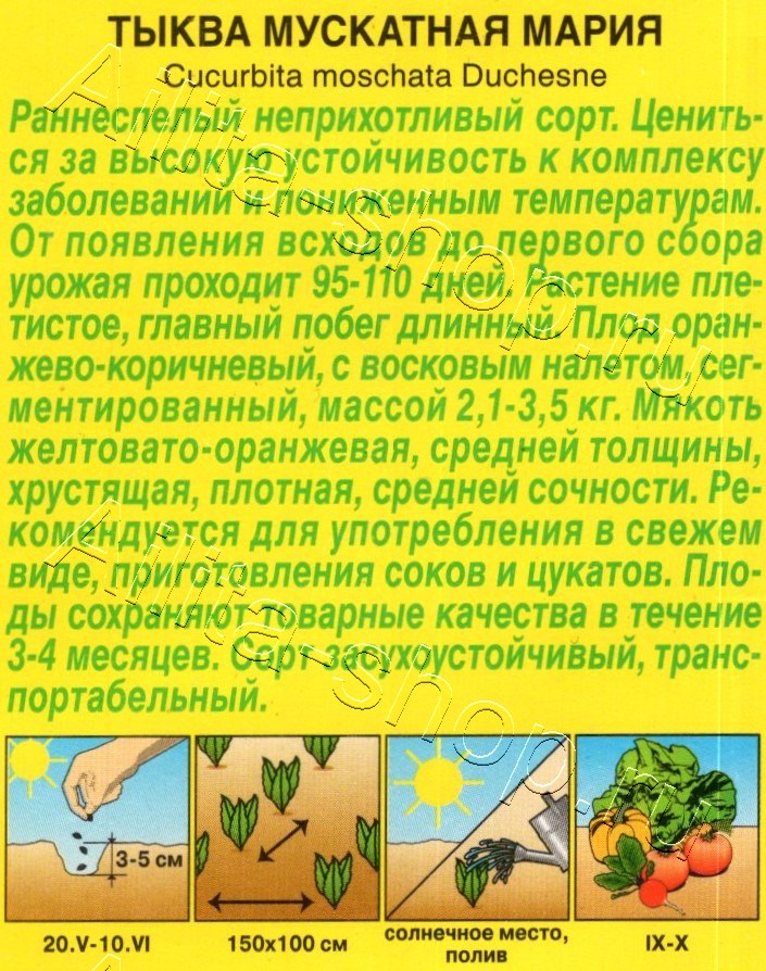 Тыква мускатная Мария 1г