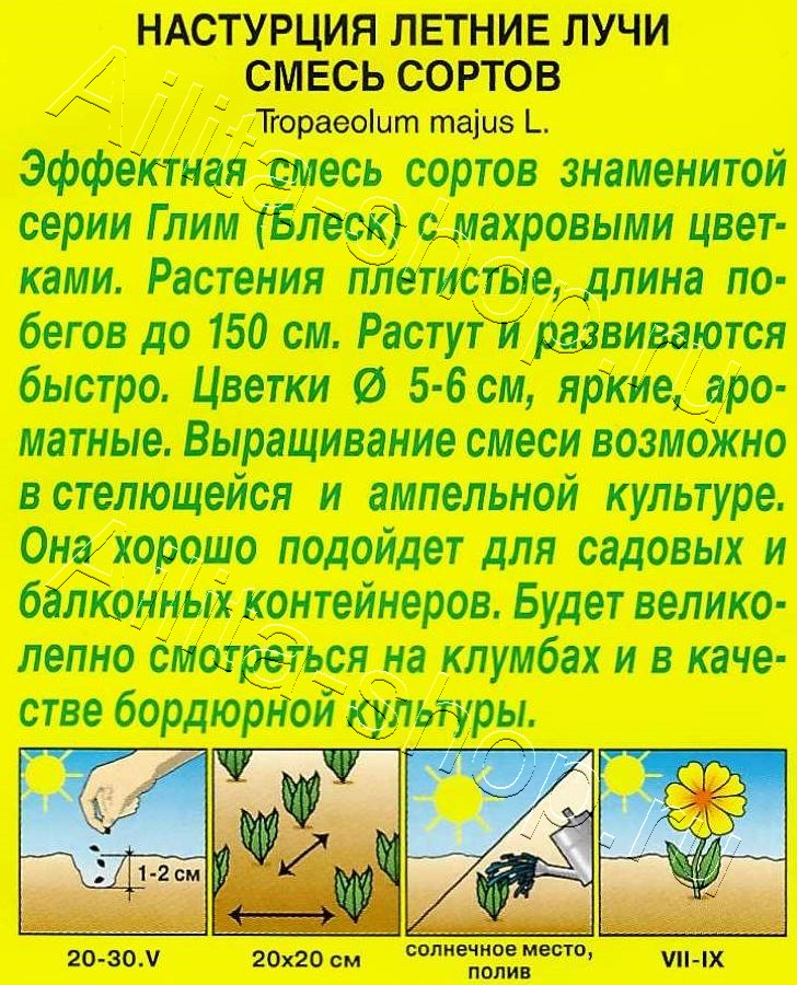 Настурция махровая Летние лучи, смесь окрасок 1г