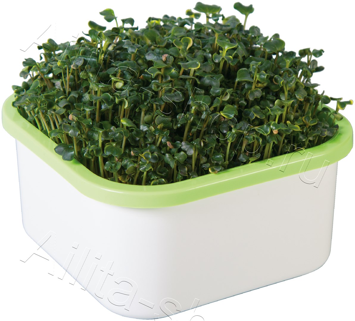 Проращиватель "Здоровья КЛАД" для микрозелени 1шт