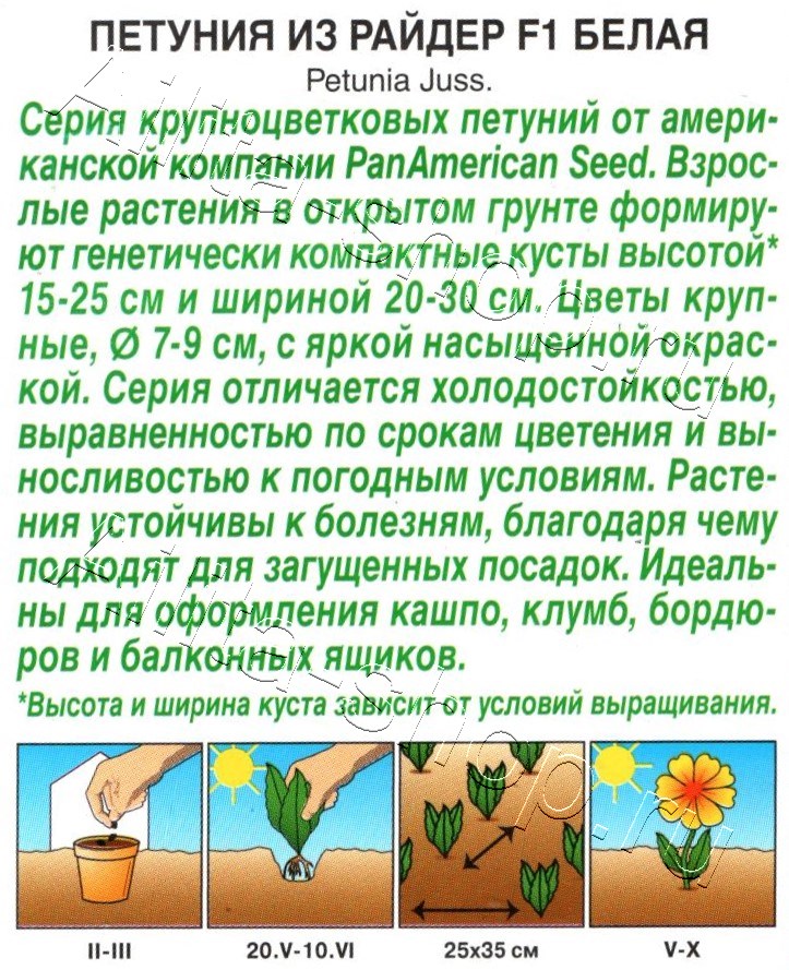 Петуния Из райдер F1 белая 7шт