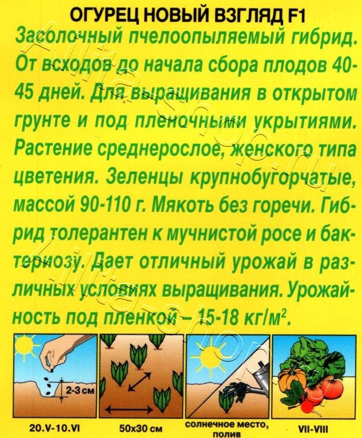 Огурец Новый взгляд F1 10шт