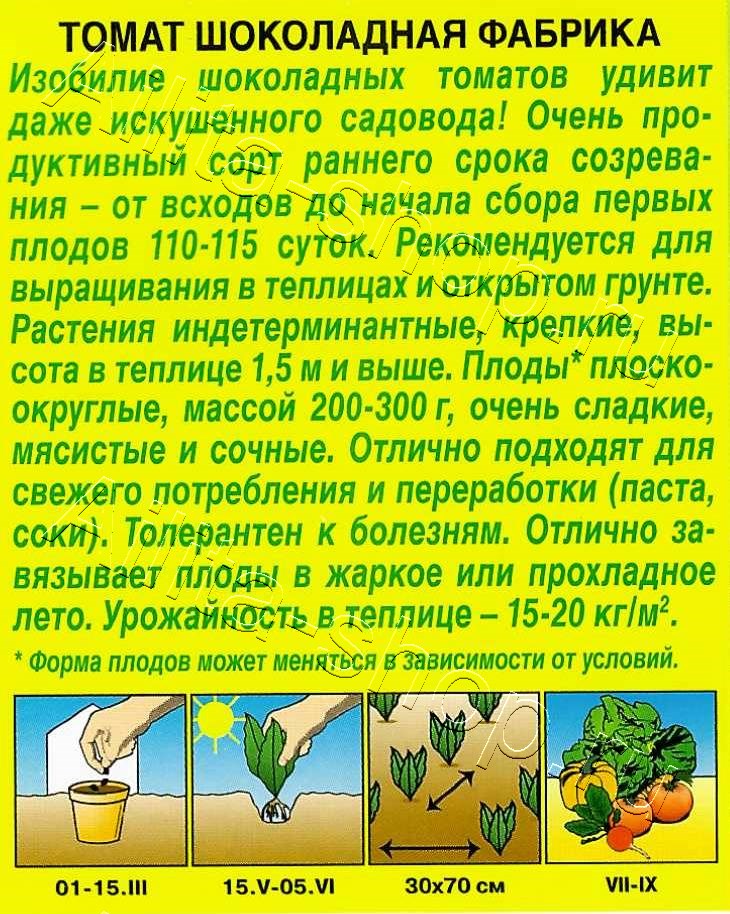 Томат Шоколадная фабрика 20шт