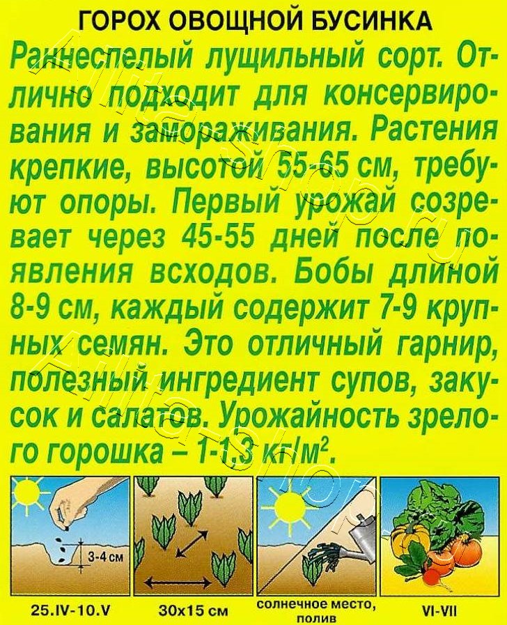 Горох овощной Бусинка 10г