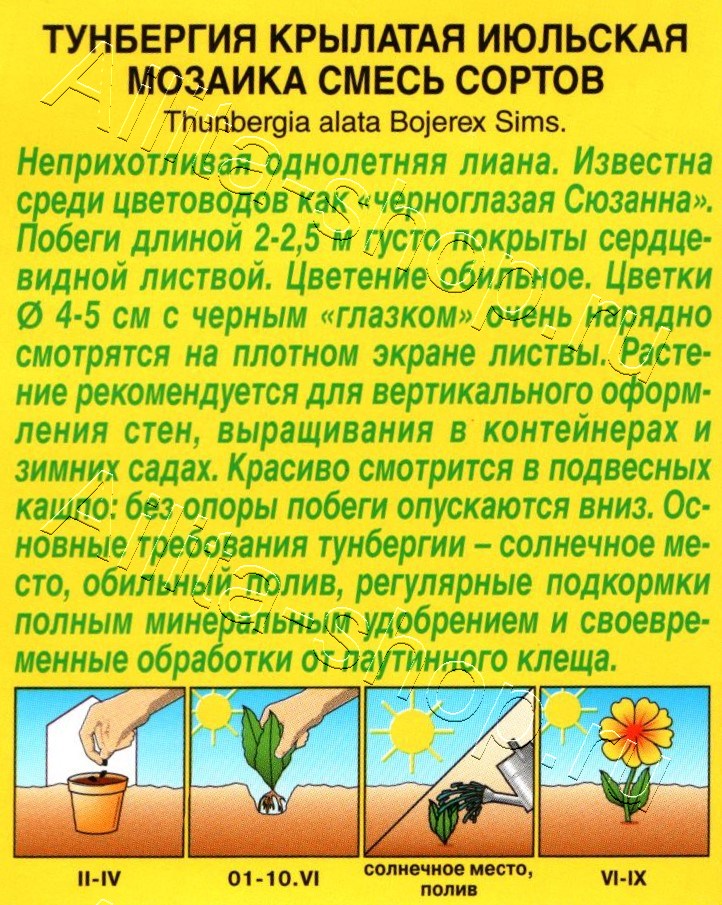 Тунбергия Июльская мозаика, смесь окрасок 0,3г