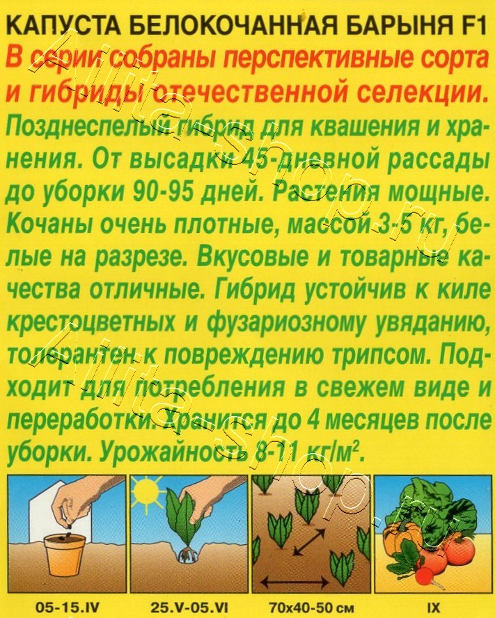 Капуста белокочанная Барыня F1 15шт