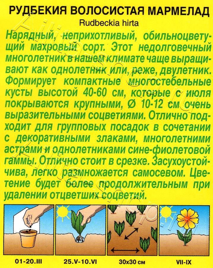 Рудбекия Мармелад 0,2г