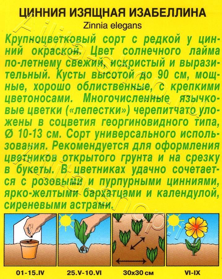 Цинния Изабеллина георгиновидная 0,3г