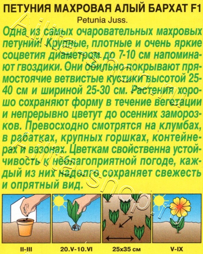 Петуния Алый бархат F1 махровая 5шт
