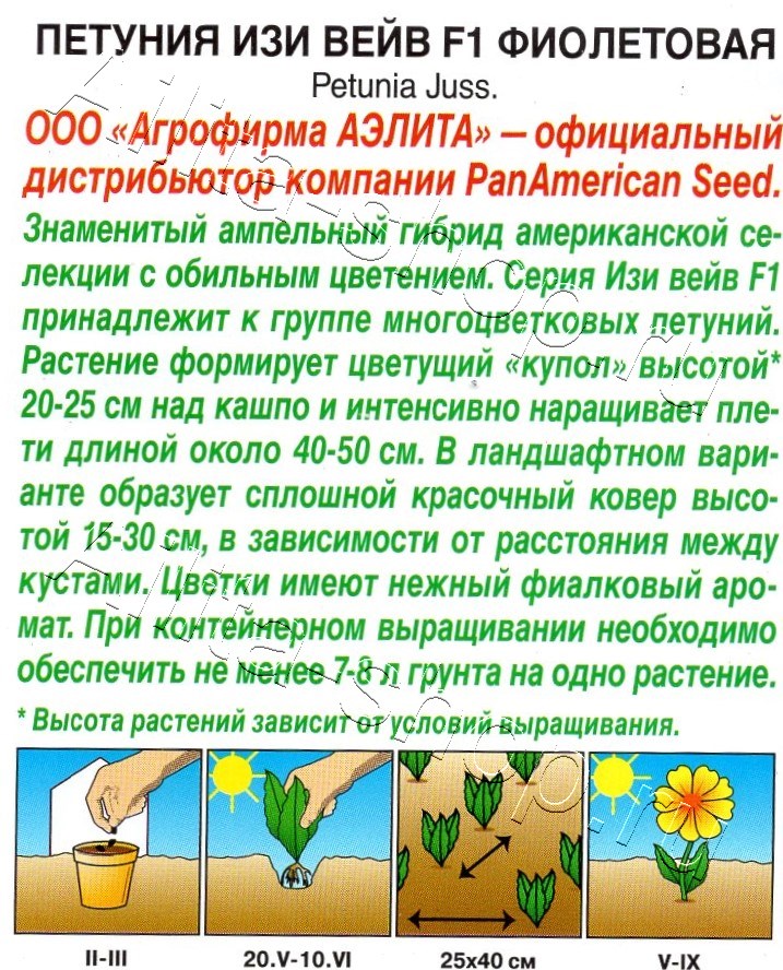 Петуния Изи вейв фиолетовая F1 4шт