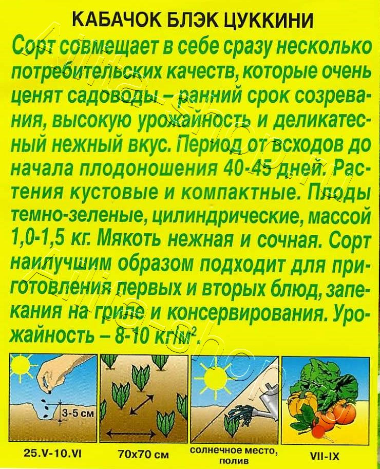 Кабачок Блэк цуккини 1г