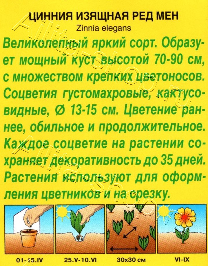 Цинния Ред мен кактусовидная 0,3г